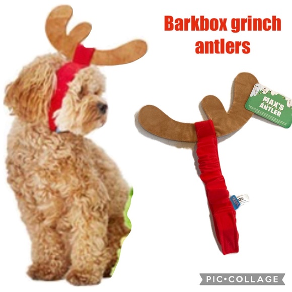 barkbox Dog Barkbox Grinch Antlers New Christmas Dog Costume Poshmark